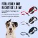 KONG Explore Retractable Dog Leash Large Grey 7 5m Tape Explore Large Grey - Buy Online on GoSupps.com