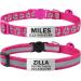 Tagme 2 Pack Katzenollsband with name and telephone number cat neck band with safety clasp and bell 18-31 cm for cats hot pink standard size 18-31cm Hot Pink