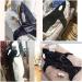 XXL Whale Blanket & Sleeping Bag | Super Soft Flannel Cuddly Blanket for Adults & Teens | Perfect Gift for Whale Lovers - Buy Online on GoSupps.com