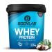 Bodylab24 Whey Protein Powder Chocolate Coconut 1kg Chocolate Coconut 1 kg (1 pack)
