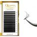QUEWEL Easy Fan 2D-20D Volume Lashes 0.12D Curl Mix 8-15mm - Self Fanning Russian Lash Extensions | Easy Fan Volume Lashes for Automatic Blooming - Buy Online on GoSupps.com