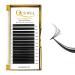 QUEWEL Volume Eyelash Extensions 0.03-0.12mm C/CC/D/DD Curl 8-25mm | Easy Fan Self Fanning 2D-20D Volume Lashes | Long Lasting Blooming Lashes 0.07D Mix 8-15mm - D Curl - Buy Online on GoSupps.com