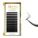Quewel Self-Fermenting Eyelashes - 0.07 C Curl Volume Extension 8-15mm | Easy Fan Lashes for Stunning Volume - Buy Online on GoSupps.com