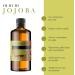 VENUS Oxxigena 100 pure jojoba oil pack of 500 ml cold pressed deeply moisturizes and nourishes the skin gives hair shine vegan and GMOfree - Buy Online on GoSupps.com
