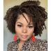 Hanne Fashion Short Kinky Curly Wigs Ombre Brown Side Part Wig Afro Curly Wig Heat Resistant Fiber Synthetic Full Wigs for Black Women (1B 30#) 1B/30