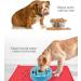Buy Toplory Waterproof Non-Slip Silicone Feeding Mat for Dogs & Cats - 53x37cm Red | International Shipping Available - Buy Online on GoSupps.com