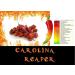 hot 10 g Chilli Carolina Reaper The World's Strongest - Buy Online on GoSupps.com
