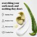 DevaCurl Deep Sea Repair Mask 236.6ml - Seaweed Strengthening Treatment for Healthy Hair | International Shipping - Buy Online on GoSupps.com