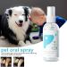 PUCHEN Teeth Cleaning Spray for Pet Pet Teeth Cleaning Spray 60ml - Cleaning Dog Teeth Spray Odors and Freshen Breath for Home Outdoor Travel Use - Buy Online on GoSupps.com