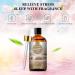 PHATOIL Fresh Linen Fragrance Oil - 100ml for Aromatherapy, Diffusers, Candle Making & DIY Products - Buy Online on GoSupps.com