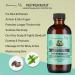 Sunny Isle Jamaican Black Castor Oil with Peppermint 118ml - Buy Online on GoSupps.com
