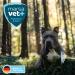 Marsavet Spot-on Natural Tick & Flea Protection for Pets | 50ml | Safe for Dogs Cats Birds & Rodents of All Ages - Buy Online on GoSupps.com