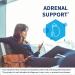 Klaire Labs Adrenamin - Adrenal Support Supplement with Cordyceps, Rhodiola & Eleuthero - 120 Capsules, Gluten-Free Formula for Adrenal Health in Men & Women - Buy Online on GoSupps.com