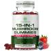 Yi Nutrition 15-in-1 Sugar-Free Mushroom Complex Gummies 10:1 Extract - Lion's Mane Cordyceps Chaga Reishi Turkey Tail Tremella & More for Memory Focus Immunity - 90 Wild Berry Gummies