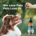 PB Pets Hemp Oil for Dogs and Cats - USA Made - Anxiety & Pain Relief - Omega Complex - Arthritis Support - Buy Online on GoSupps.com