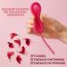 BiBrad Menstrual Disc S+L - Reusable Periodic Disc with Sterilizer & Carry Bag - Eco-Friendly Alternative to Cups & Tampons - Buy Online on GoSupps.com