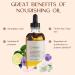Organic Moisturizer Face - Blend of Rosehip, Jojoba, Almond, Primrose, Argan & Jasmine Essential Oils - Best Women's Face Moisturizer for Reducing Wrinkles & Acne Scars - Buy Online on GoSupps.com