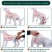 Kuoser Dog Recovery Suit for After Surgery - Breathable Leak-Proof Anti-Licking Body for Male & Female Dogs - Pink XXL - 1 Pack - Buy Online on GoSupps.com