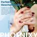 Phoenixy Shellac Starter Set with Lamp - 12 Blue Pink Geln gel Colors Top & Base Matte Coat Nail Polish Gift for Women - Dark Collection - Buy Online on GoSupps.com
