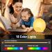 Yazeky Daylight Alarm Clock | Sunrise Sunset Simulation | Dual Alarms & 7 Natural Sounds | Bedside Lamp with 7 Color Brightness - Buy Online on GoSupps.com