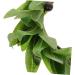 FRCOLOR 1pc Flower Headdress for Bride Hair Bands for Womens Hair Floral Headband for Women Flower Girl Headband Artificial Green Leaf Wreath Olive Leaf Bridal Headband Bridal Hair Wreath - Buy Online on GoSupps.com
