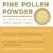 Surthrival Wild Harvested Pine Pollen Powder (48g) - Natural Energy & Endurance Restoration - Buy Online on GoSupps.com