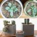 BIKHYY 500g Fluorite Gravel Rocks Bulk Crushed Stones Crystal Pebbles Natural Aquarium Gravel Decorative Polished Stone for Fountain Vase Filler Planters Decorative - Buy Online on GoSupps.com