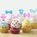 UXYOKM 24Pcs Gender Reveal Cupcake Toppers Baby's Boy or Girl Glitter Cupcake Picks Kids Birthday Party Decors Baby Shower Party Decoration Supplies - Buy Online on GoSupps.com