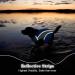 Ultimate Dog Life Vest - Ripstop Float Coat for All Sizes | Lifeguard Swimming Vest with Rescue Handle & Reflectors (Blue Large) - Buy Online on GoSupps.com