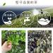 Taiwan unique tea Qilai Mountain Oolong Tea 150g*4 - Buy Online on GoSupps.com