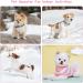 Lynine Knitted Dog Sweater - Comfortable & Soft Winter Apparel for Small Dogs & Cats - Striped Design Warm Pink Sweater (Size M) - Buy Online on GoSupps.com