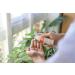 Green People Scent Free Facial Sun Cream SPF30 50ml | Natural Organic Face Sunscreen | Eczema Friendly | Vegan & Cruelty-Free - Buy Online on GoSupps.com