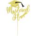 Arthsdite 1Pc Mastered It Cake Topper College Grad Class of 2024 Congratulations MBA Graduation Party Decorations Supplies - Gold Glitter Gold Mastered It Cake Topper - Buy Online on GoSupps.com