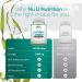 Sea Kelp Tablets 2000mg - 365 Vegan Tablets - High Strength Iodine Supplement for Thyroid Support - Non GMO - Natural Source from Wild Harvested Seaweed - Buy Online on GoSupps.com