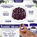 Feel Great Vitamin Co. Elderberry Gummies for Kids | Vegan Immune Support | Gluten Free with Zinc & Vitamin C | 90 Gummies - Buy Online on GoSupps.com