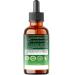 Penhoment 10in1 Wormwood Tincture - Black Walnut, Whole Cloves, Reishi Mushroom & 4 More - Wormwood Liquid Drops - 1 FL OZ for 2 Months Supply - Berry Mix Flavor - Buy Online on GoSupps.com
