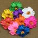 LEORX 6pcs Hibiscus Flower Hair Clip Set - Hawaiian Floral Hair Accessories for Wedding & Festival - Buy Online on GoSupps.com