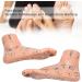 Acupuncture Foot Model - 2 Piece Teaching Set for Massage & Acupuncture Points | International Shipping - Buy Online on GoSupps.com