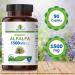 Brieofood Organic Alfalfa 1500mg | 90 Vegetarian Tablets | Gluten-Free & Non-GMO - Buy Online on GoSupps.com