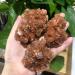 350 Grams of Natural red Aragonite Quartz Crystal Cluster Shape Rough Stone Cluster Nepheline Specimen 1 Piece Natural Decoration ERTEYIN (Size : 110-150g) - Buy Online on GoSupps.com