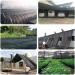 Anti-Sun Sunshade Network Outdoor Garden 6 Needle Sunscreen Sunshade Web Factory Greenhouse Cover car Cover Shading Rate (Size : 2X2M) (3X4M) - Buy Online on GoSupps.com
