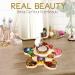 CoralBeau Flower Shaped Makeup Set for Women - Luxurious Adult & Teen Girls Cosmetic Kit - Buy Online on GoSupps.com