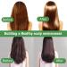  Eastuy Hair Oil for Scalp | Hair Growth with Olive Oil Scalp Oil - 50ml Scalp Moisturizer Hair Oil for Dry and Damaged Hair - Buy Online on GoSupps.com