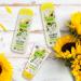 Alverde NATURAL COSMETICS Hand Cream Bienengl ck - Organic Sunflower & Olive Oil 3-Pack (3 x 75 ml) - Buy Online on GoSupps.com