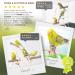 Exciting Climbing Rope for Birds - 3 Sliding Natural Wood Seat Rods for Budgies Nymphicus & More | International Shipping Available - Buy Online on GoSupps.com
