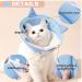 Adjustable Cat Collar for Post-Operative Protection | Halskrause Elbe for Cats & Kittens (Blauhai L - 5-9kg) - Buy Online on GoSupps.com