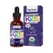 Elderberry for Kids Liquid Drops with Vitamin C & Zinc - 2oz - Children and Toddler Immune Support Supplement USDA Organic Sambucus Elderberry Extract Ages 1-13 Years - Made in USA - 2 fl oz Kids Elderberry Immune Support -