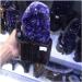 Minerals Stones Uruguay Natural Amethyst Quartz Crystal Cavity Crystal Stones Decoration Stone Mineral Specimen