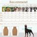 Iecoii Dog Sweater - Warm Turtleneck for Small to Large Dogs | Winter Clothing for Chihuahuas French Bulldogs & Labradors - Buy Online on GoSupps.com