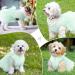 Luxury Dog Wedding Dress - Princess Puppy Skirt & Evening Dress | Summer Bowknot Clothing for Small Dogs (M Green) - Buy Online on GoSupps.com